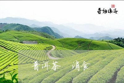 普洱茶 消食/2023042950800